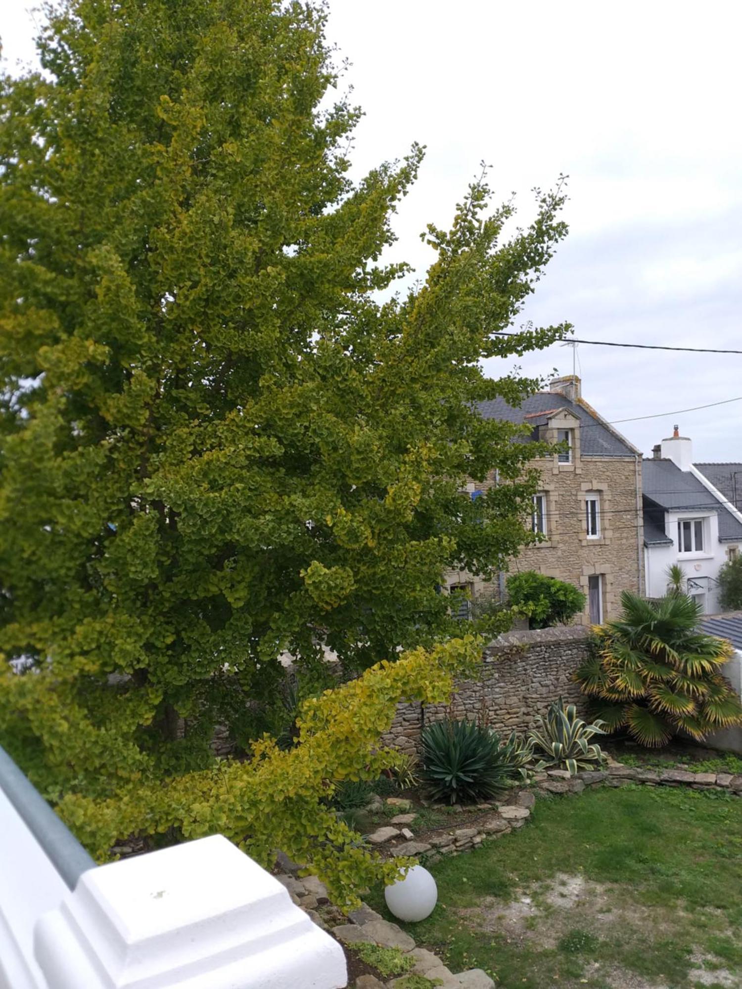 Manoir St Yves -Gite Quiberon Bagian luar foto